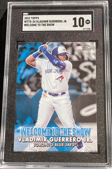 Vladimir Guerrero Jr. 