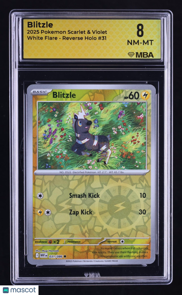 2025 Pokemon Scarlet & Violet White Flare Blitzle Reverse Holo MBA 8 #31