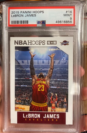 2015 Hoops Lebron James