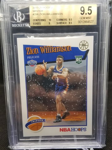 Zion Williamson Hoops Winter