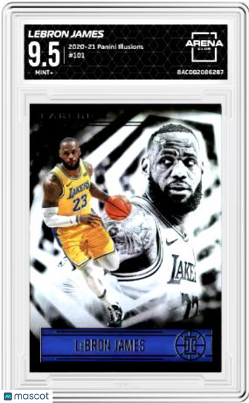 2020-21 Panini Illusions LeBron James #101 Arena Club 9.5