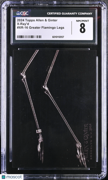 2024 Topps Allen & Ginter Greater Flamingo Legs #XR-16 X-Ray'd CGC 8