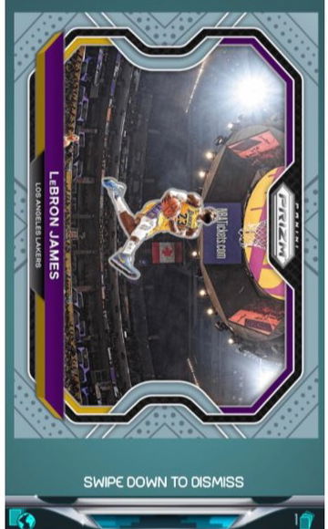 2020 Panini Dunk Prizm Lebron James