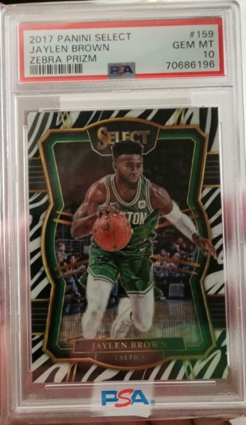 JAYLEN BROWN 2017 ZEBRA PRIZM Select PSA 10