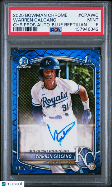 2025 Bowman Chrome Prospect Autographs Warren Calcano #CPAWC Blue Reptilian /150 Rookie PSA 9