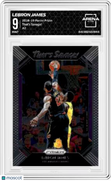 2018-19 Panini Prizm LeBron James #2 Arena Club 9