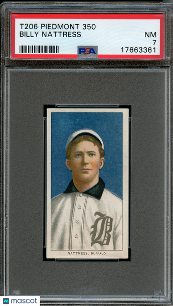 1909-11 T206 Piedmont 350 Billy Nattress PSA 7
