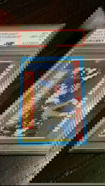 1987 Topps WWF #57 Harts Hit Concrete PSA 8 NmMt Bret Hart