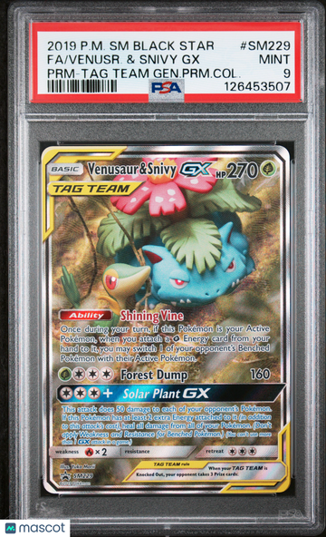 2019 Pokemon SM Black Star Promo Venusr. & Snivy GX Fa PRM-TAG Team Gen.PRM.Col. PSA 9 #SM229