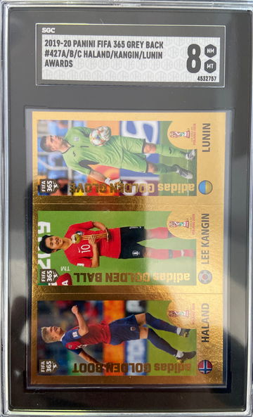 2019 ROOKIE Erling Haaland Gold Foil FIFA 365 