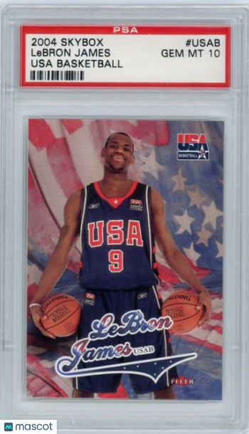 2004 Skybox Usa Basketball LeBron James #USAB PSA 10