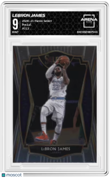 2020-21 Pannini Select LeBron James #113 Pre Level Arena Club 9