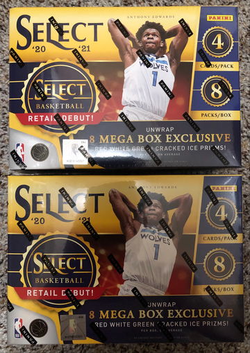 2020-21 Select Basketball