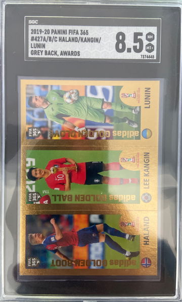 2019 ROOKIE Erling Haaland gold foil FIFA 365