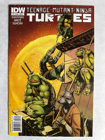 Teenage Mutant Ninja Turtles #3 (2011) | IDW | Cover A Dan Duncan | NM-