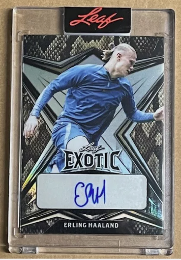 2022 Leaf Exotic erling Haaland Snakeskin Auto Autograph Manchester City 4/10