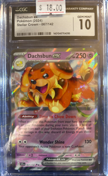 2024 Pokémon Dachsbun ex Stellar Crown 067/142 CGC 10 Gem Mint