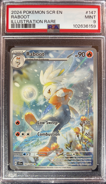 2024 Pokémon Raboot Stellar Crown 147/142 PSA 9 Mint
