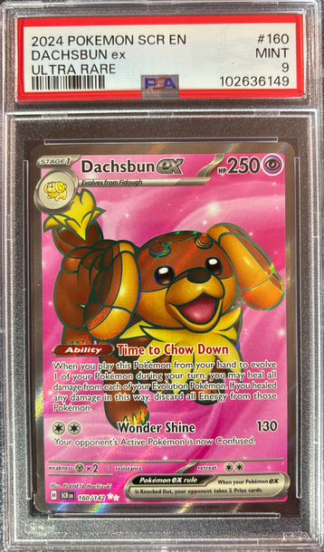 2024 Pokémon Dachsbun ex Stellar Crown 160/142 PSA 9 Mint