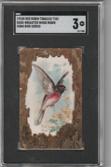 1910's T102 Red Robin Tobacco Song Bird Series Rose Breasted Wood Robin SGC VG 3