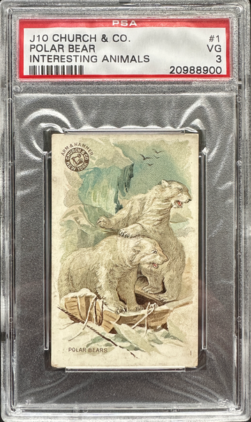 1898 J10 Church & Co Interesting Animals Polar Bear