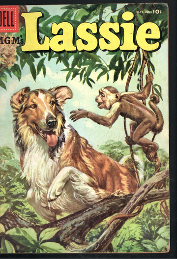  1953 Silver Age Dell Comic Book Lassie #25 VG+ 