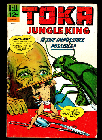 1964 Dell Comic Book Toka Jungle King #7 Nice Fine- or so Condition