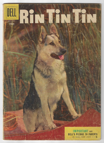 1953 Golden Age Dell Comic Book #10 Rin Tin Tin Good +/- Condition