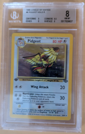 1999 Jungle 1st Edition Pidgeot Holo #8
