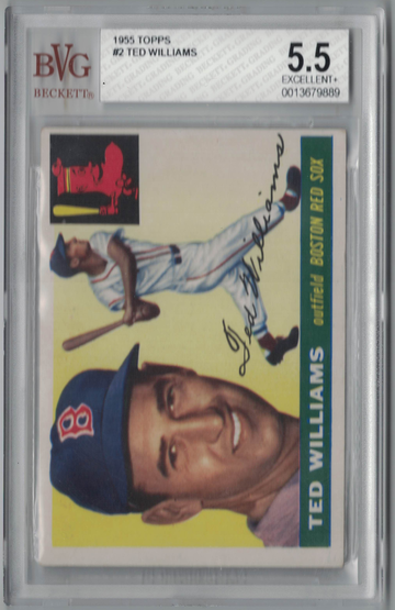1955 Topps #2 Ted Williams BVG 5.5 Excellent plus HOF