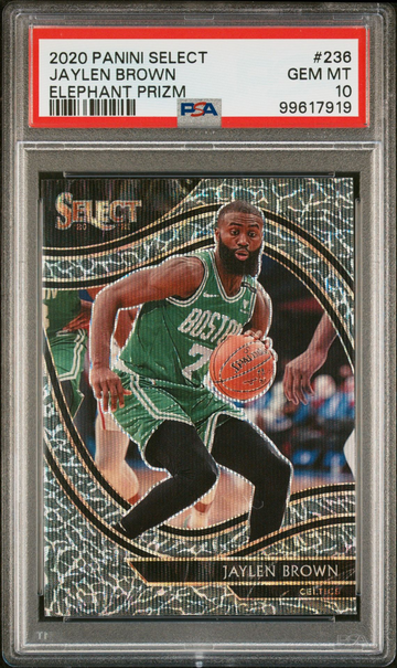 2020-21 Panini Select Jaylen Brown #236 Courtside Elephant Prizm SP PSA 10