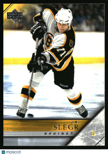 2005-06 Upper Deck Jiri Slegr #259 Boston Bruins