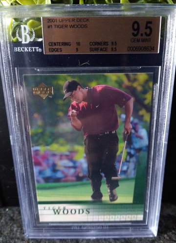 Tiger Woods