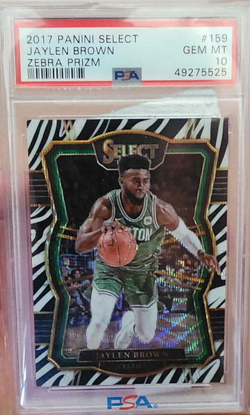 JAYLEN BROWN 2017 ZEBRA PRIZM Select PSA 10