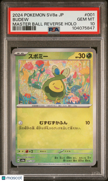 2024 Pokemon Japanese Sv8a-Terastal Fest EX Budew Japanese Master Ball Reverse Holo PSA 10 #001