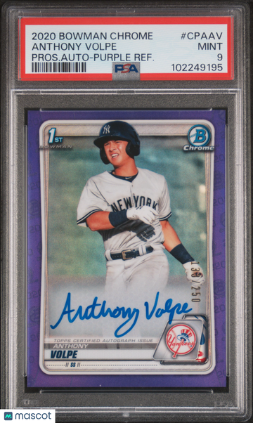 2020 Bowman Chrome Prospect Autographs Anthony Volpe #CPAAV Pros. Auto Purple Refractor PSA 9