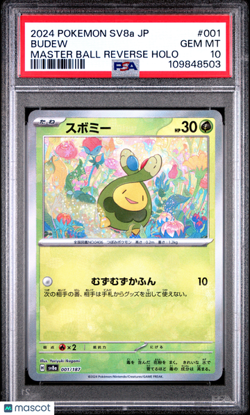 2024 Pokemon Japanese Sv8a-Terastal Fest EX Budew Japanese Master Ball Reverse Holo PSA 10 #001