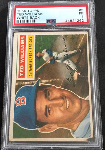 Ted Williams 