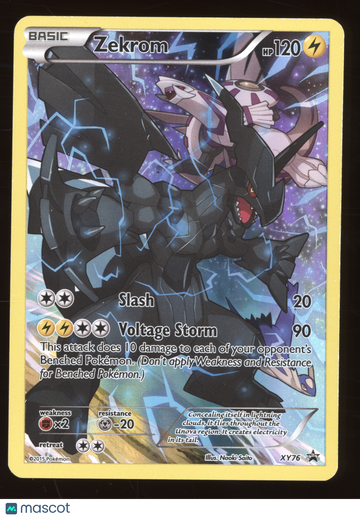 2015 Pokemon XY Black Star Promos Zekrom #XY76