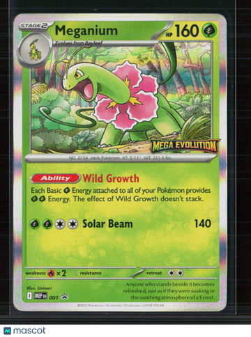 Pokemon Trading Card 2025 Mega Evolution Meganium Holo Rare MEP EN 001