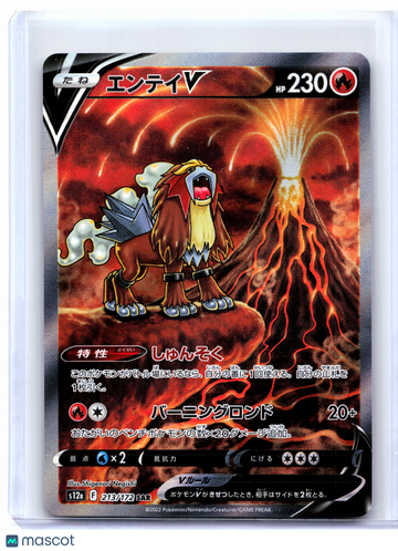 Pokemon Trading Card VSTAR Universe Entei V Holo Special Art Rare Japanese 213/172