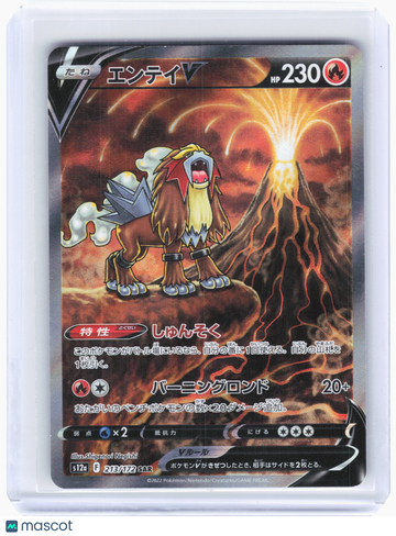 VSTAR Universe Entei V Holo Special Art Rare Japanese #213/172