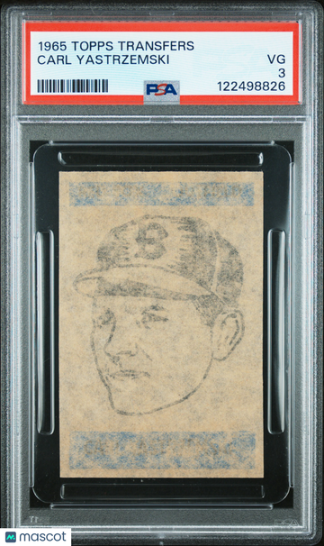 1965 Topps Transfers Carl Yastrzemski PSA 3