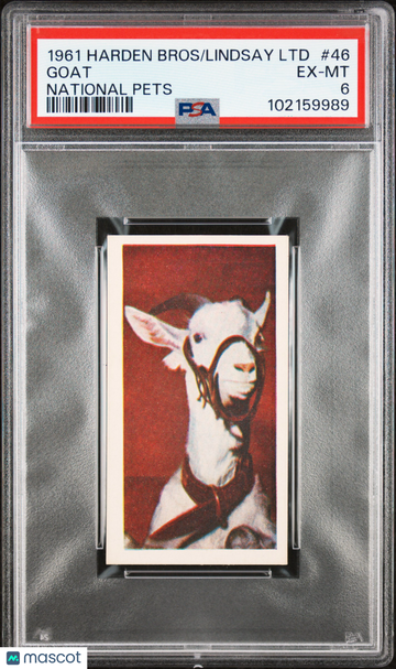Goat 1961 Harden Bros. & Lindsay LTD National Pets #46 PSA 6