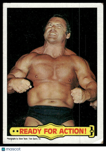 1985 Topps WWF Pro Wrestling Stars Ready For Action! #46