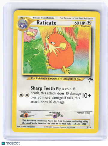 Southern Islands Raticate Non-Foil Promo #6/18