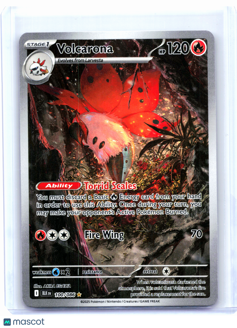 pokemon volcarona card - 104/086 [SV11B An individual card from the Pokmon trading and collectible card game (TCG/CCG) Volcarona | Pokémon Cards and