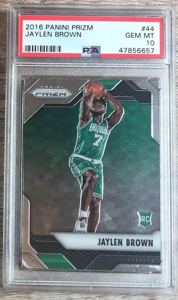 Jaylen Brown Panini Prizm