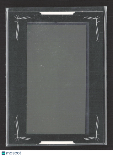 2008 Topps Mayo Frank Gore #254 Warm Grey Printing Plate /1 Printing Plate