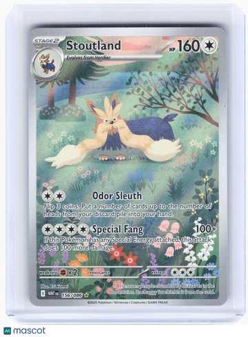 White Flare Stoutland Holo Illustration Rare #156/86